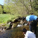 Maison Avec Terrain, Proche Du Ballon D'alsace Des 2 Lacs Ferienhaus