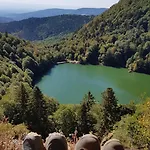 Maison Avec Terrain, Proche Du Ballon D'alsace Des 2 Lacs * Rimbach-pres-Masevaux