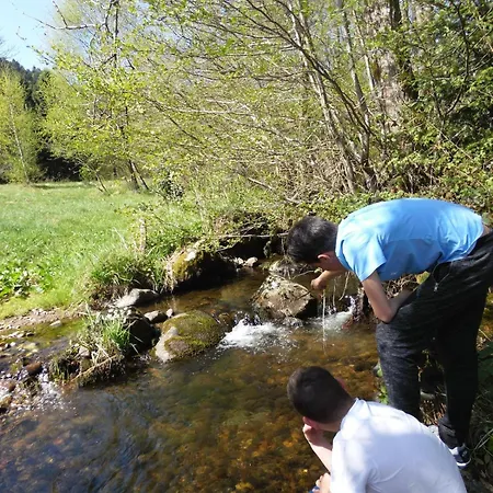 Maison Avec Terrain, Proche Du Ballon D'alsace Des 2 Lacs Hébergement de vacances