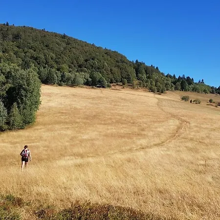 Maison Avec Terrain, Proche Du Ballon D'alsace Des 2 Lacs Rimbach-pres-Masevaux