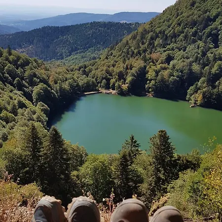 Maison Avec Terrain, Proche Du Ballon D'alsace Des 2 Lacs * Rimbach-pres-Masevaux
