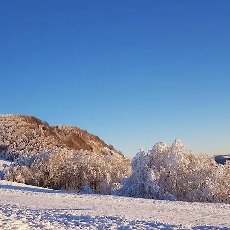 Maison Avec Terrain, Proche Du Ballon D'alsace Des 2 Lacs Hébergement de vacances Rimbach-pres-Masevaux