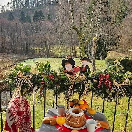 Vakantiehuis Maison Avec Terrain, Proche Du Ballon D'alsace Des 2 Lacs *