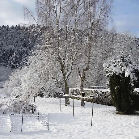 Maison Avec Terrain, Proche Du Ballon D'alsace Des 2 Lacs