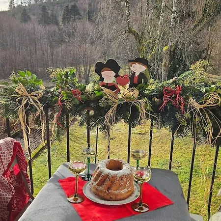 Vakantiehuis Maison Avec Terrain, Proche Du Ballon D'alsace Des 2 Lacs *