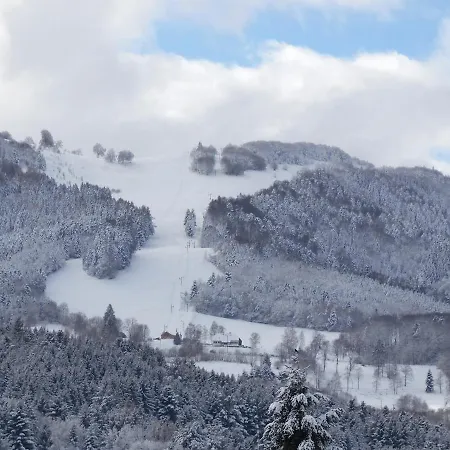 Vakantiehuis Maison Avec Terrain, Proche Du Ballon D'alsace Des 2 Lacs