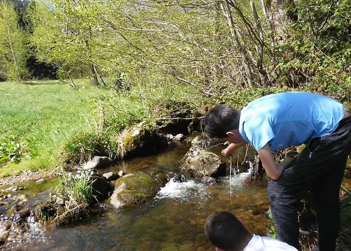 Maison Avec Terrain, Proche Du Ballon D'alsace Des 2 Lacs Vakantiehuis