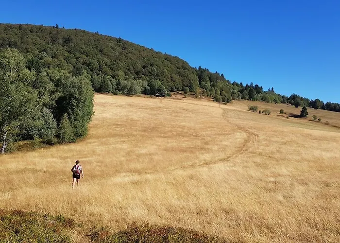 Maison Avec Terrain, Proche Du Ballon D'alsace Des 2 Lacs Rimbach-pres-Masevaux