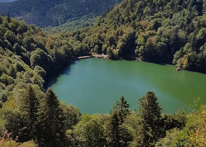 Maison Avec Terrain, Proche Du Ballon D'alsace Des 2 Lacs * Rimbach-pres-Masevaux