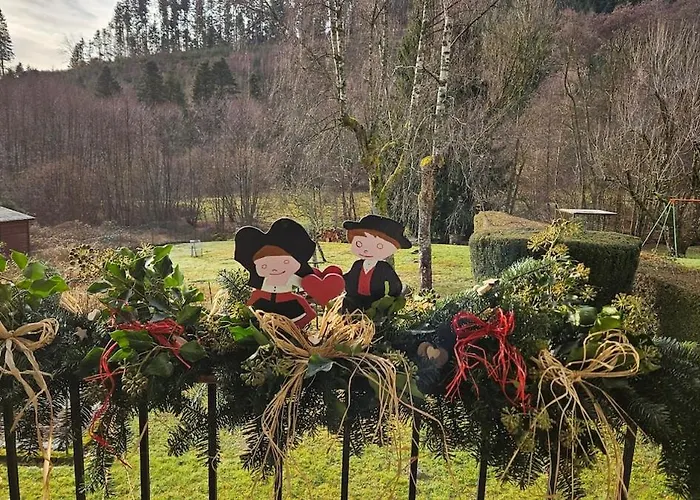 Maison Avec Terrain, Proche Du Ballon D'alsace Des 2 Lacs Vakantiehuis *