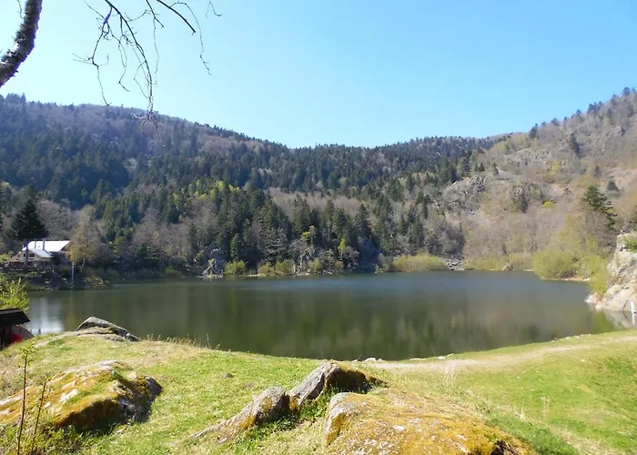 Maison Avec Terrain, Proche Du Ballon D'alsace Des 2 Lacs * Rimbach-pres-Masevaux