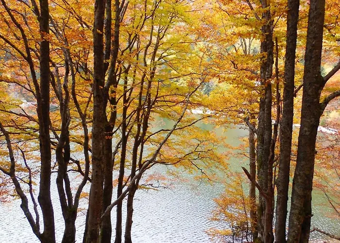Vakantiehuis Maison Avec Terrain, Proche Du Ballon D'alsace Des 2 Lacs *