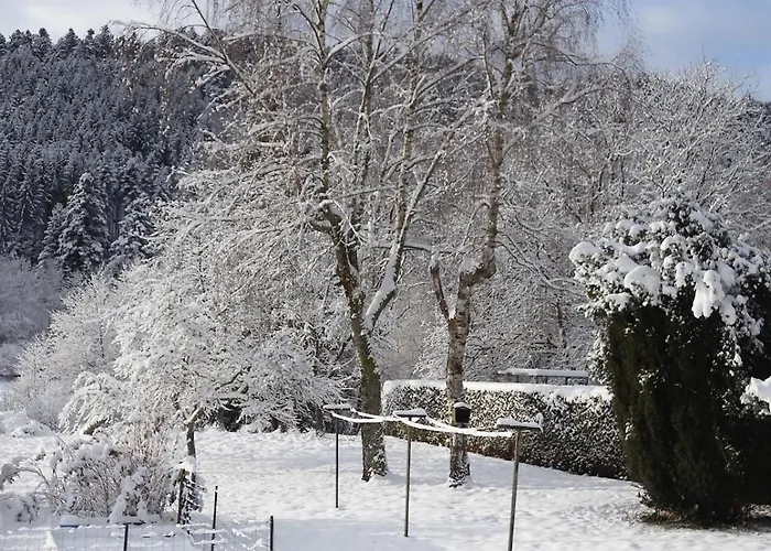 Maison Avec Terrain, Proche Du Ballon D'alsace Des 2 Lacs