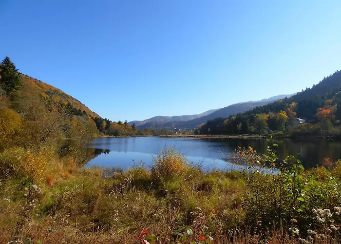 Maison Avec Terrain, Proche Du Ballon D'alsace Des 2 Lacs Vakantiehuis *
